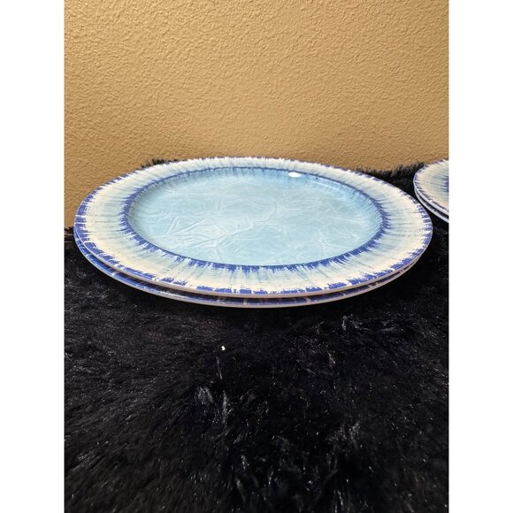 AELS Blue & White Crackle Glaze  Melamine Plates  11" Picnic  Set Of 4 - Picture 5 of 7